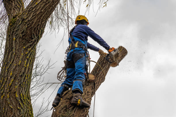 Best Commercial Tree Services  in Moss Point, MS